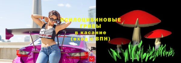 PSILOCYBIN Армянск