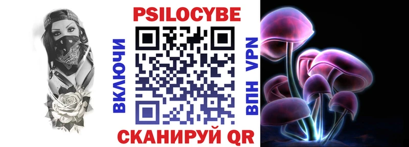 купить закладку  Теберда  Псилоцибиновые грибы GOLDEN TEACHER 